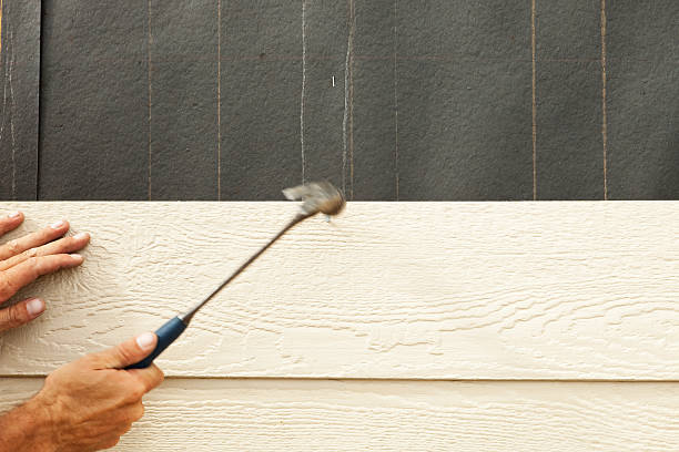 Best Custom Trim and Detailing for Siding  in North Springfield, VA